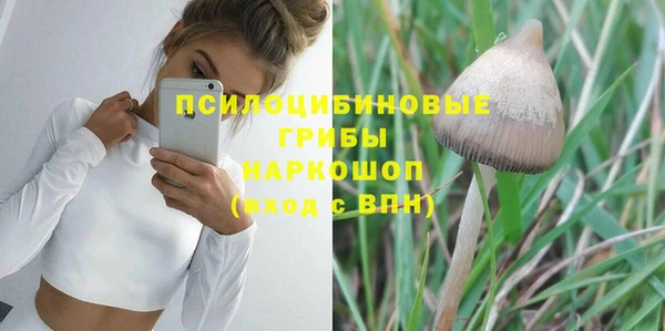 амф Аркадак