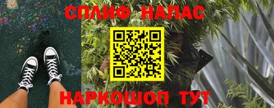 тгк Владивосток