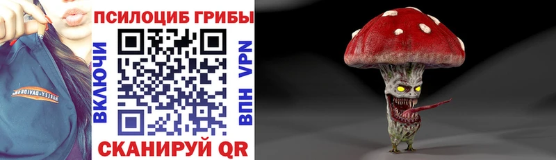 blacksprut как войти  Карасук  Псилоцибиновые грибы прущие грибы  где продают  