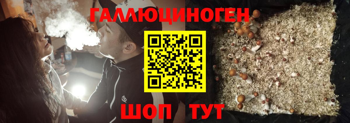 Псилоцибиновые грибы мухоморы  Галлюциногенные грибы Psilocybine cubensis  Вход с VPN  Карасук 