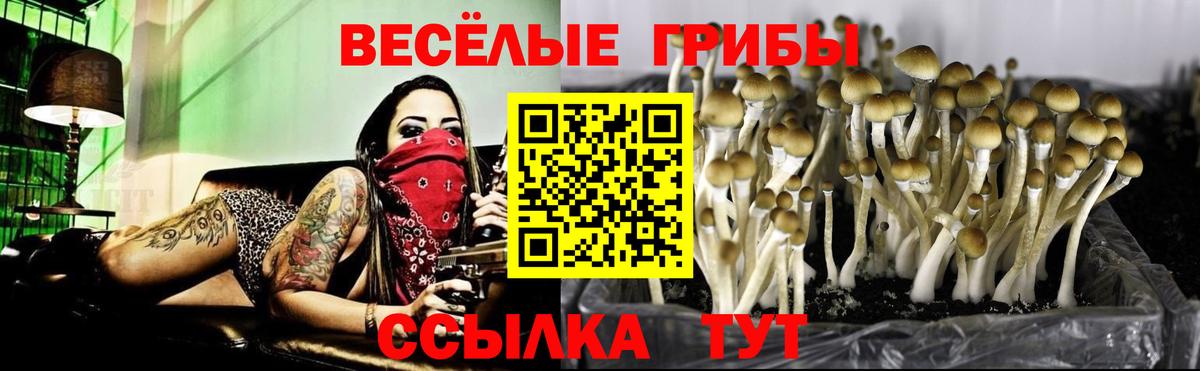 Галлюциногенные грибы прущие грибы Карасук